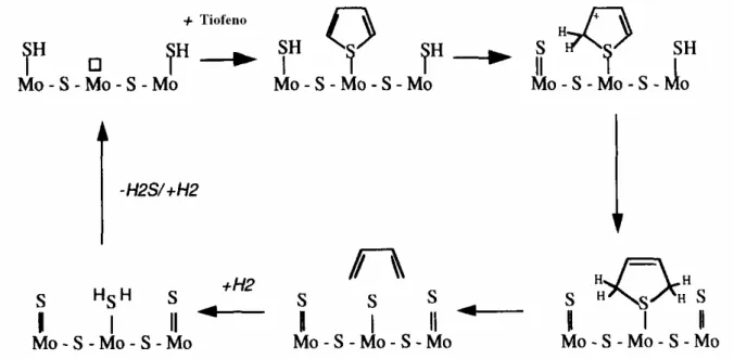 Figura 2.8 – Ciclo catalítico geral para o mecanismo de hidrogenação para hidrodessulfurização  do tiofeno (NEUROCK, 1997)