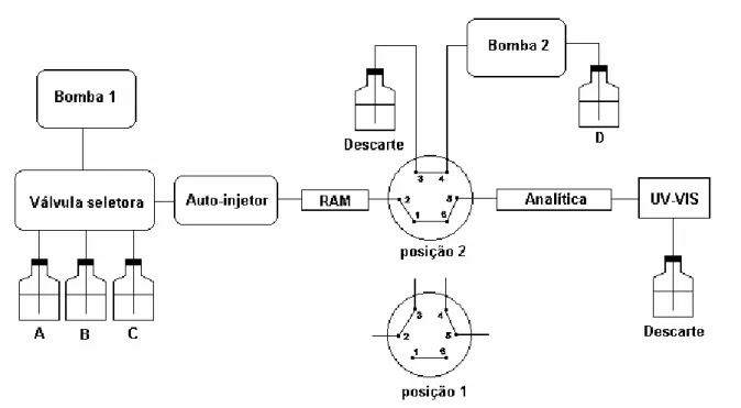 Figura 4. 11 - Diagrama do sistema multidimensional utilizado para o acoplamento  das colunas RAM-BSA e analítica