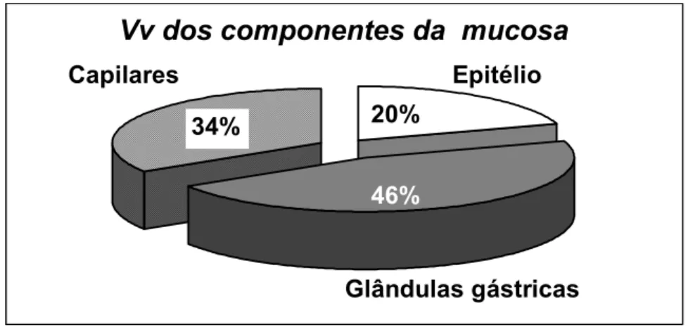 Figura 9. Porcentagem dos volumes dos componentes da mucosa do estômago de P. anisitsi