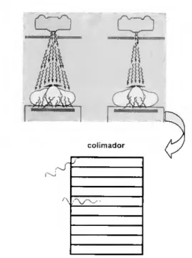 Figura 3.4: papel do colimador 