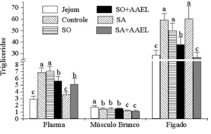 Figura 7. Concentração média de triglicerídeos no plasma, músculo branco e fígado de B