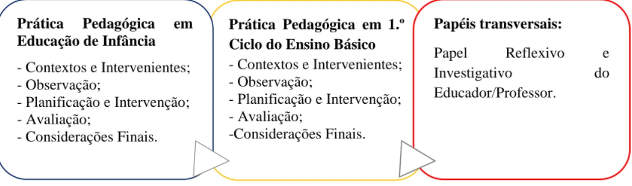 Figura 1 - Esquema da Dimensão Reflexiva 