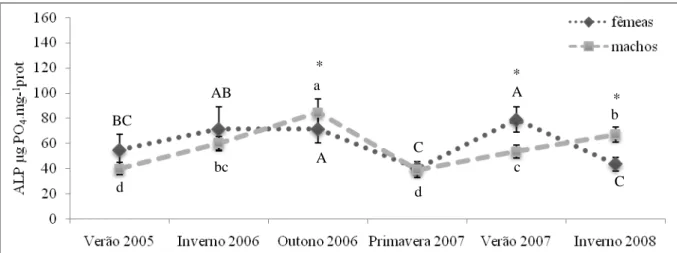 Figura 8 – Concentração de ALP determinada nas gónadas de mexilhões recolhidos no local de  VRSA, em seis períodos sazonais diferentes, desde o Verão de 2005 até ao Inverno de 2008