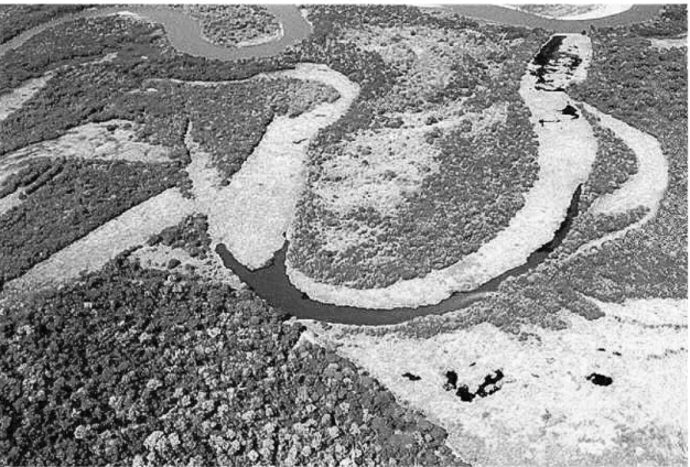 Figura 2. Vista aérea da lagoa do Óleo, localizada na planície de inundação do rio Mogi- Mogi-Guaçu (Acervo LAPA/DHb/UFSCar)