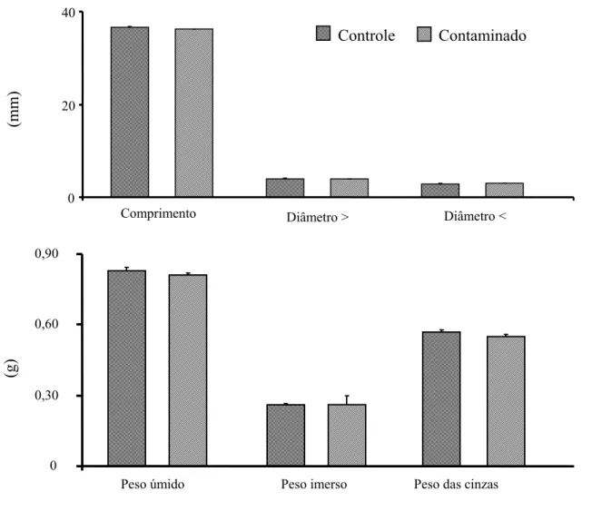 Figura 4: Parâmetros biométricos do fêmur dos ratos dos grupos experimentais controle e contaminado
