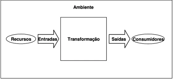 FIGURA 2.1 – Modelo de entrada - transformação - saída. 