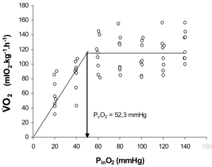 Figura 9- Efeito da redução gradual das tensões de oxigênio da água de entrada do  respirômetro (P in O 2  – mmHg) sobre o consumo de oxigênio ( V&amp; O 2 – mlO 2 .kg -1 .h -1 )  do grupo exposto ao MP (n = 8) de B