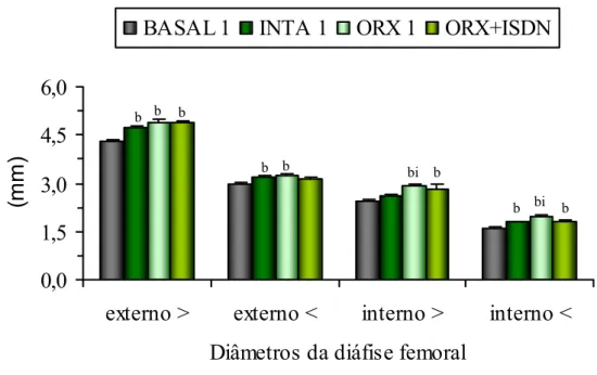 Figura 6: Diâmetros externos maior e menor, e diâmetros internos maior e menor da diáfise do fêmur esquerdo  de ratos dos grupos que compõem o experimento 1