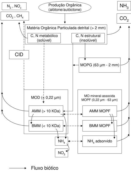 Figura 1: Frações da matéria orgânica nos ambientes aquáticos e suas interações  (modificado de MAYORGA &amp; AUFDENKAMPE, 2002)