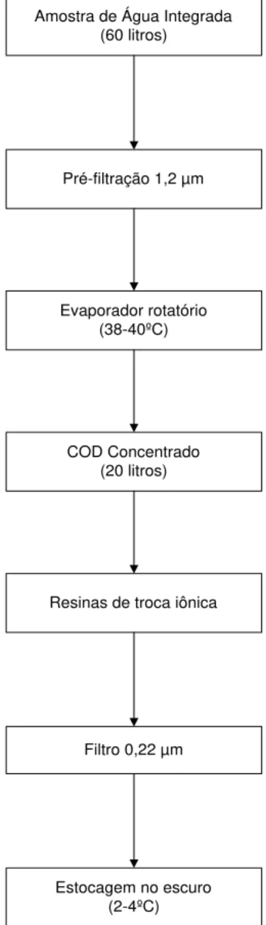 Figura 3: Representação esquemática do processo de concentração do COD. 