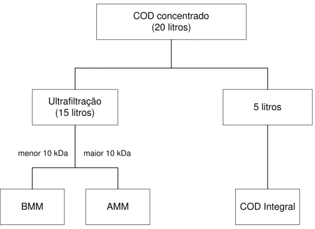 Figura 4: Representação esquemática do fracionamento do COD em compostos de  alta e baixa massas moleculares