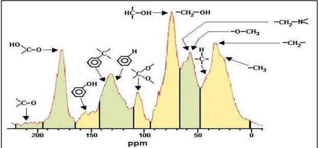 FIGURA 2.12 – Espectro RMN de  13 C típico de AH mostrando os grupos funcionais associados às bandas  correspondentes (SKJEMSTAD et al., 1998) 