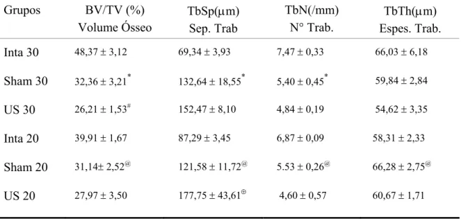 Tabela 5 - Parâmetros Histomorfométricos da região distal do fêmur dos animais dos  diferentes grupos experimentais: Volume Ósseo (BV/TV), Separação das Trabéculas (TbSp),  Número de Trabéculas (TbN) e Espessura de Trabéculas (TbTh) (Média ± EPM)