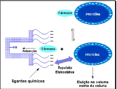 FIGURA 1.7: Mecanismo cromatográfico das fases RAM; FH: Fase Hidrofóbica 63