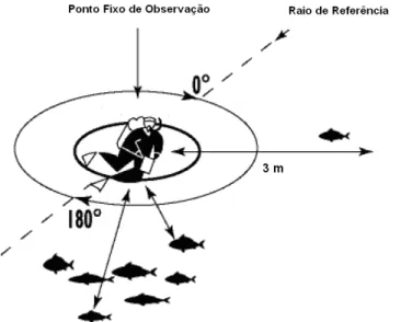 Figura 3 – Ilustração do método de censos visuais em ponto fixo, num círculo de observação de raio 3  metros (adaptado de Labrosse et al