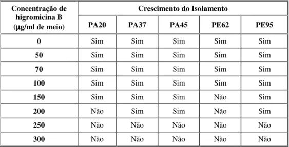 Tabela I.12: Resultados do ensaio de sensibilidade dos isolamentos de P. cinnamomi ao antibiótico higromicina  B efectuados em meio V 8 Ca