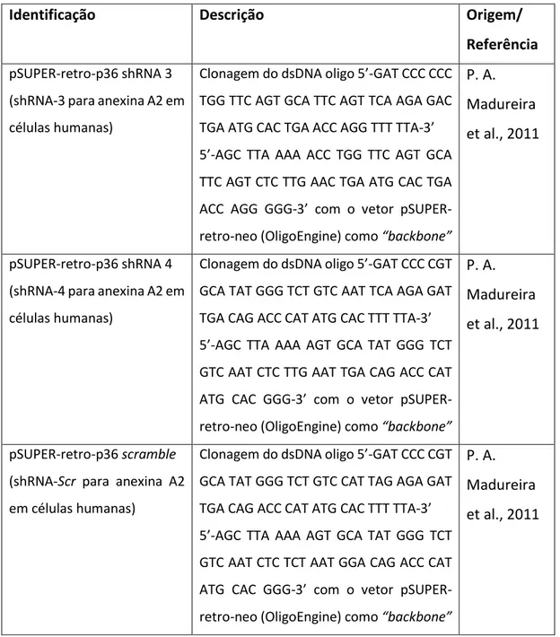 Tabela 3.2 - Descrição dos plasmídeos utilizados para knockdown da anexina A2 