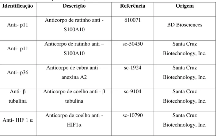 Tabela 3.1  -  Descrição dos anticorpos utilizados