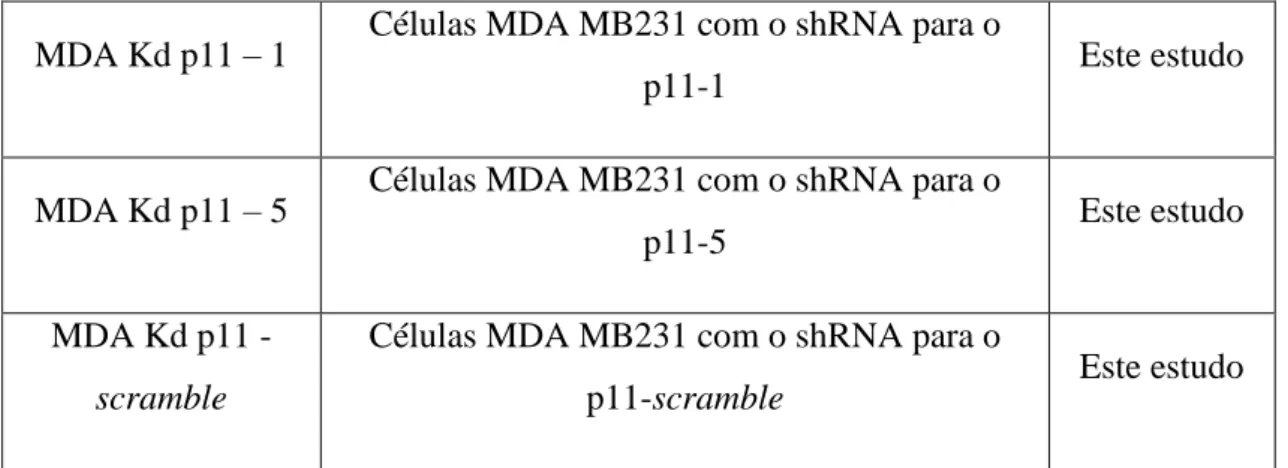 Tabela 3.5 – Descrição da composição dos géis para SDS-PAGE 