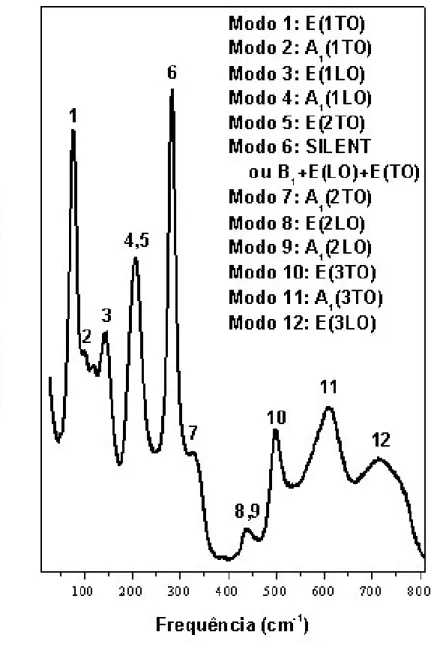 Figura 6.1- 1 Espectro Raman da amostra de PT puro na temperatura de 300K,  com identificação dos modos segundo a referência [86]