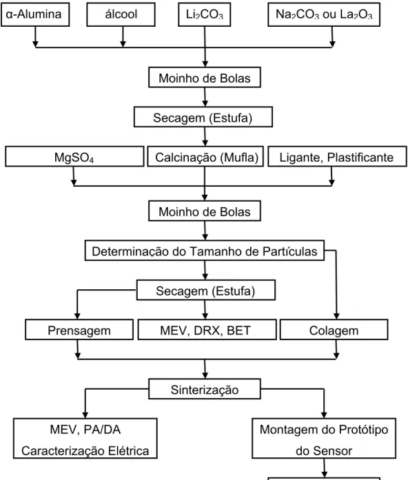 Figura 3.1 - Principais etapas envolvidas no desenvolvimento de sensores de  β-alumina