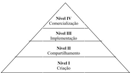 Figura 2.8 – Os quatro níveis da transferência de tecnologia.