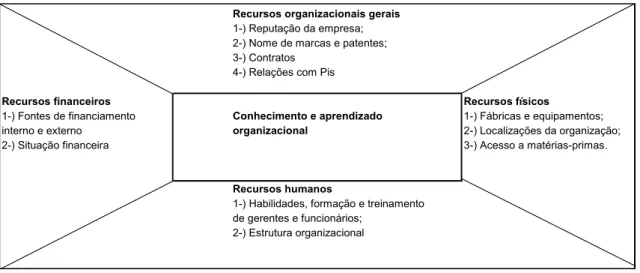 FIGURA 2.2 - A Organização como um Conjunto de Recursos 