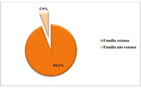 Figura 5. Distribuição da amostra segundo a extensão familiar 