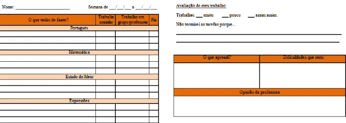 Figura 1 - Exemplo de Plano Individual de Trabalho 