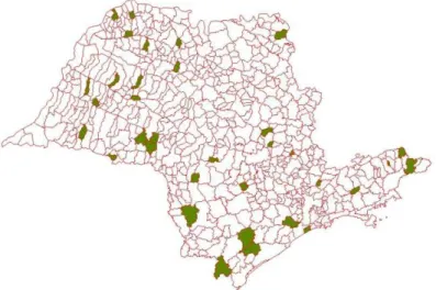 Figura 2.2 – Municípios do Estado de São Paulo com Taxa de Mortalidade por  Atropelamento superior a 20 óbitos por 100 mil habitantes (Fonte: SEADE, 2006) 