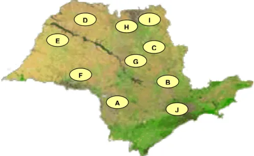 Figura 5.1: Localização das empresas da amostra  (A: Sorocaba; B: Campinas; C: Ribeirão Preto; D: 