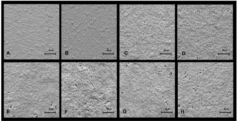FIGURA 2.6:  Micrografias das vistas superiores de filmes de óxido de zircônio preparados em solução contendo H 3 PO 4  0,1 M, densidade de corrente de 16 mAcm -2  e  temperatura 20 °C