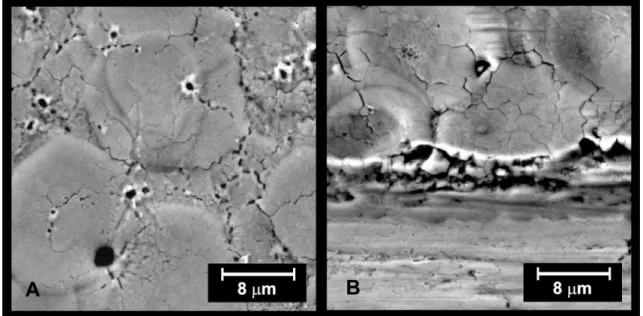 FIGURA 2.7: Micrografias da vista superior e lateral de filmes de óxido de zircônio preparados em solução  contendo H 3 PO 4  0,1 M, densidade de corrente de 16 mAcm -2  e temperatura 20 °C