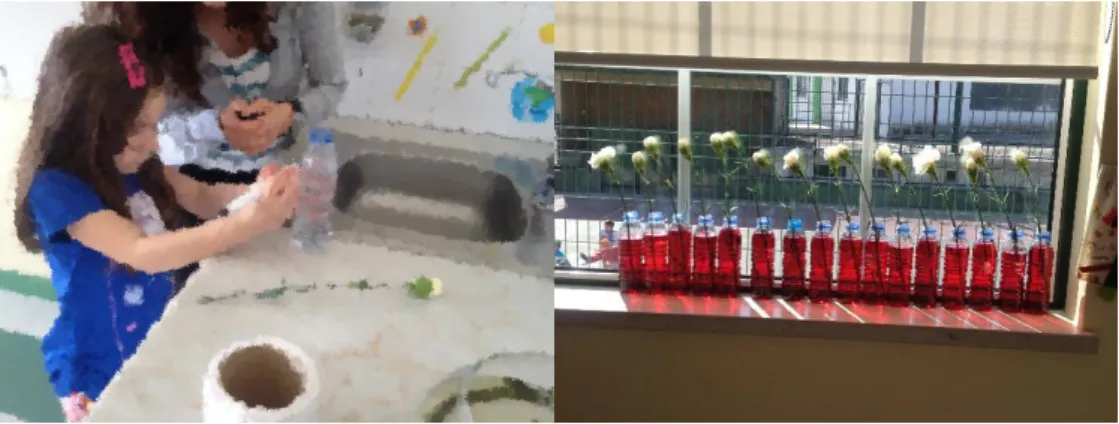 Figura 11 e 12 - Atividades Experimentais 