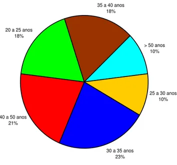 Figura 3. Idade das pessoas que responderam ao questionário 30 a 35 anos 23%40 a 50 anos21%20 a 25 anos18%35 a 40 anos18% &gt; 50 anos10% 25 a 30 anos10%   