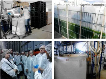 Fig. 4: A visita de estudo do projeto no Algarve em janeiro de 2013, permitiu à parceria HARVEST conhecer a produção  de flor de sal e de algas na NECTON, o processo certificado de fabrico de sal na MARISOL e a I&amp;D em curso na estação do  Ramalhete (CC