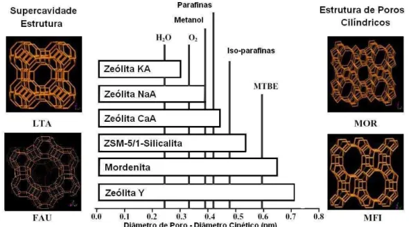 Figura 2.3. Tamanho médio de poro de algumas zeólitas e diâmetro cinético de  várias moléculas