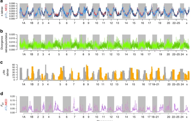 Figure 4 | Distribution of population genetic parameters calculated in 150-kb windows across the different chromosomes of sea bass genome (x refers to LGx, and not to a sexual chromosome)