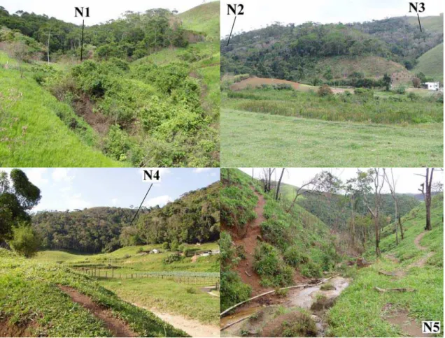 Figura 5. Localização das cinco áreas de florestas ribeirinhas amostradas no bairro rural  de Sebastiana, município de Teresópolis, RJ