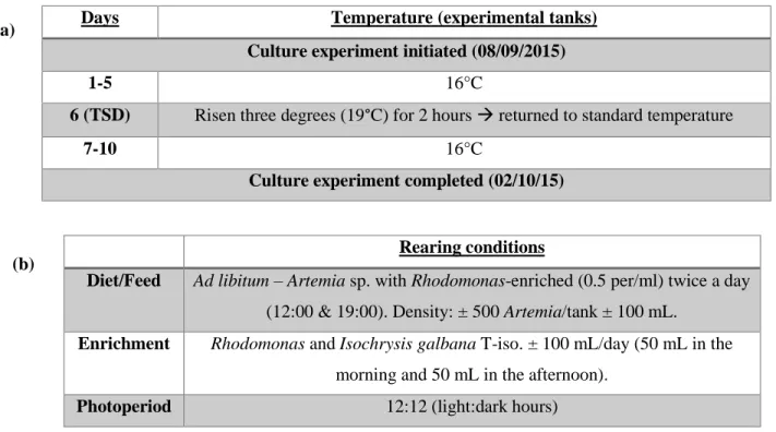 Table  3.1.  Experimental  design  for  thermal  shock  tanks  containing  O.  vulgaris  paralarvae  in  thermal  shock experiment (a) and the tank conditions (b)