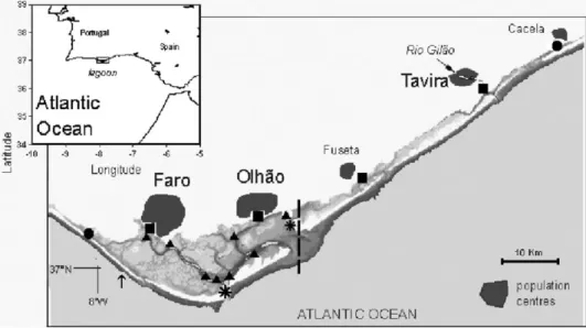 Fig. 1. Inset: geographical location of the Ria Formosa lagoon. Map of the lagoon showing the 16 sampling stations for the water column represented by a range of symbols: K, landward boundary conditions;  , seaward boundary conditions; m , intermediate lag