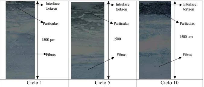 Figura 4.18: Seção transversal do filtro de poliéster tratado e polvilho doce em diferentes ciclos  (aproximadamente 1500 µm da superfície do tecido com um aumento de 200 vezes)