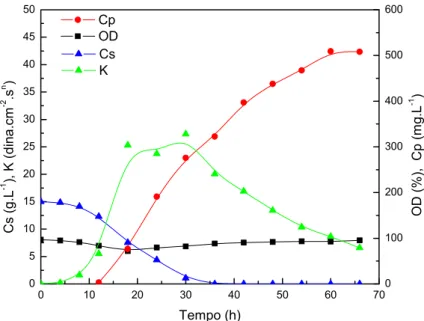 Figura 4.1: Perfis de concentração relativos ao “cultivo padrão” (B1) em batelada para a  produção de AC, sem adição de ornitina