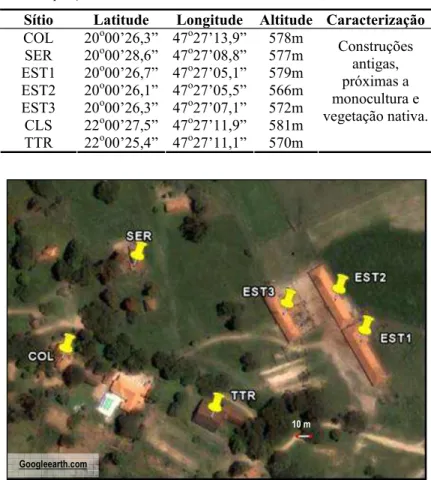 Tabela III. Sítios de disposição de ninhos-armadilha na Fazenda Rio Branco, Rifaina, SP