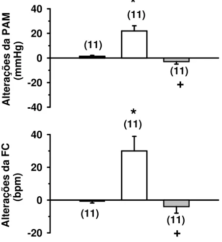 Figura 8: Alterações da pressão arterial média (PAM) e freqüência cardíaca (FC)  produzidas  pela  injeção  de  salina  ou  acetilcolina  (10  nmol/100  nl)  na  área  RVL  combinada  com  a  injeção  prévia  de  atropina  (4  nmol/100  nl)  ou  salina  na