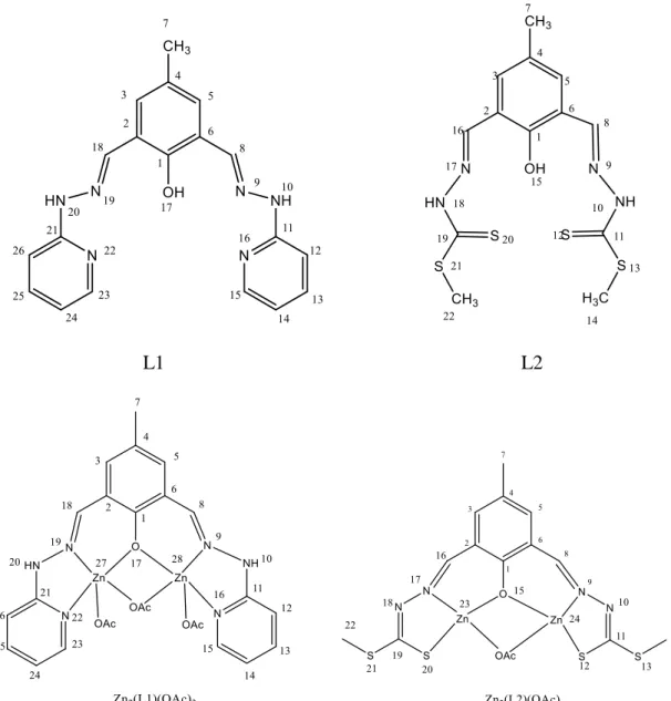 Figure 6 Structure of Schiff base ligands and complexes synthesised with the atom labelling                   scheme used in the NMR characterization.
