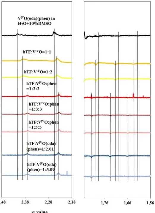 Figure  28.  Amplification  of  the  low  and  high  field  ranges  of  the  X-band  EPR  spectra  of  solutions  containing  hTF  (5.3210 4  M)  and  V IV O(oda)(phen)  (1.0710 3  M  and  1.6510 3  M)    in  PBS  (experiment  3.4.),  of  the  soluti