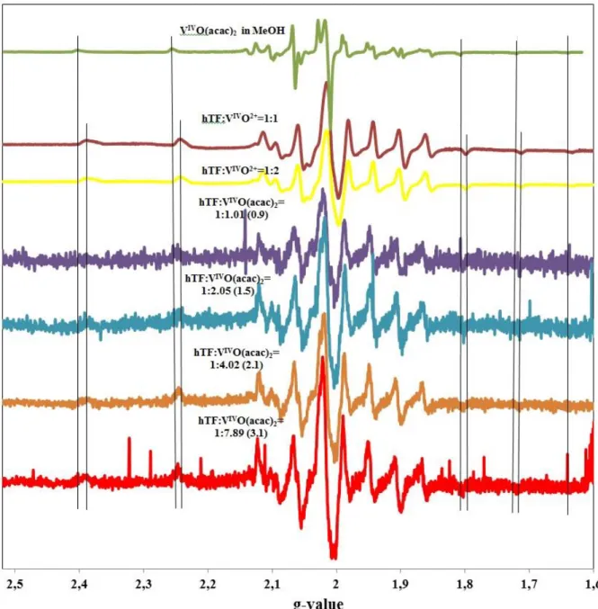 Figure  35.  X-band  EPR  spectra  of  solutions  containing  hTF  (9.4310 - 5  M)  and  different  concentrations  of  V IV O(acac) 2  obtained  by  addition  of  V IV O(acac) 2  (2.7810 2   M)  in  DMSO  to  separate  solutions  of  apo-hTF  (1.4110 