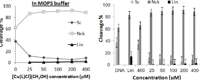 Figure  III.11. Quantification  (in  %)  of  bands  from  the  pA1  DNA  cleavage  by  [Cu(L)Cl](CH 3 OH)  under  MOPS  buffer  at  different  concentration  of  complex