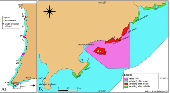 Figure 1: Map of PNSACV MPA and Ilhotes do Martinhal marine reserve (Partial Protection I)